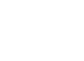 Patrimial logo